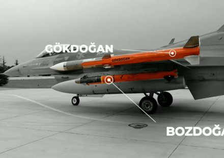 GOKDOGAN BOZDOGAN