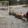 İsrail Savunma Bakanlığı’ndan “Hamas Sözcüsü Ebu Ubeyde öldürüldü” argümanı 852 yillik gelenek bu sefer kuruyan irmak yataginda sembolik olarak yapildi AYaB4H4C.webp