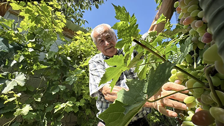 ahiska turku aile erzincanda 70 cesit uzum yetistiriyor 4 h1U72i4B