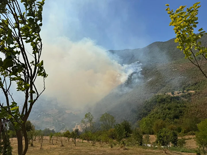 bartinda ormanlik alanda yangin cikti 0 gDOisb1C