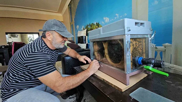 Bu düzenek görenleri şaşırtıyor: Vızır vızır çalışan arılar 15. kata bal götürüyor 5 bu duzenek gorenleri sasirtiyor vizir vizir calisan arilar 15 kata bal goturuyor 4 aA6uJjE7