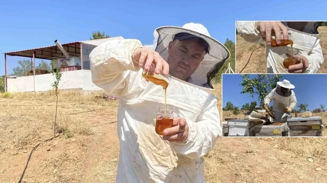 dunyanin en yeterli bali turkiyeden cikti son testlerde 2 bin 925 prolin kiymetini gorduk 9Z5a468H.webp