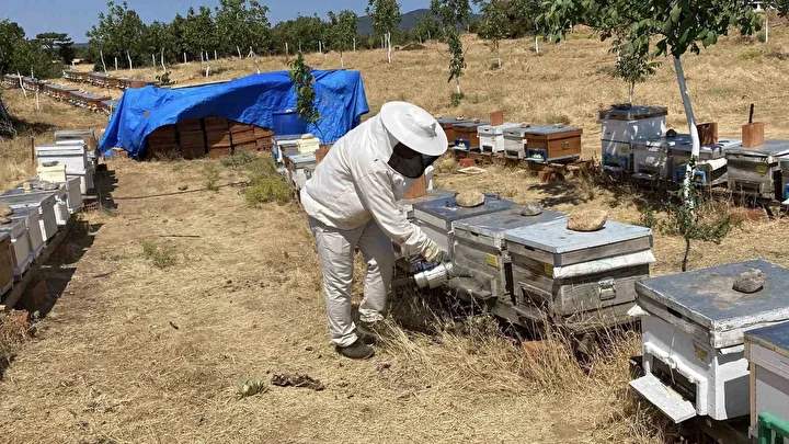 dunyanin en yeterli bali turkiyeden cikti son testlerde 2 bin 925 prolin kiymetini gorduk iH4BXq2a