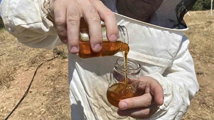 dunyanin en yeterli bali turkiyeden cikti son testlerde 2 bin 925 prolin kiymetini gorduk lG8En9XB