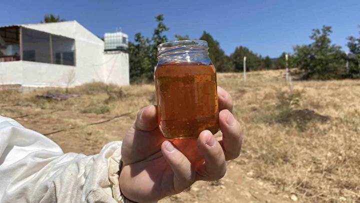 dunyanin en yeterli bali turkiyeden cikti son testlerde 2 bin 925 prolin kiymetini gorduk nXTntFiE