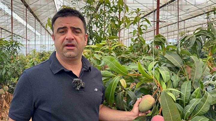 Kimsenin yürek edemediğini o yaptı: Yalnızca denemek için başladı, artık 300 dönümü aştı 3 kimsenin yurek edemedigini o yapti yalnizca denemek icin basladi artik 300 donumu asti 2 5UsVMZ1r