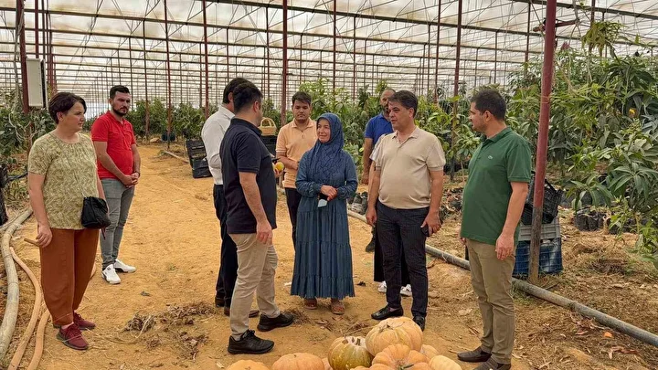 Kimsenin yürek edemediğini o yaptı: Yalnızca denemek için başladı, artık 300 dönümü aştı 4 kimsenin yurek edemedigini o yapti yalnizca denemek icin basladi artik 300 donumu asti 3 29Xrd2dU