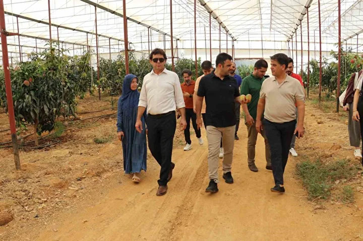 Kimsenin yürek edemediğini o yaptı: Yalnızca denemek için başladı, artık 300 dönümü aştı 6 kimsenin yurek edemedigini o yapti yalnizca denemek icin basladi artik 300 donumu asti 5 FqGSIrjC