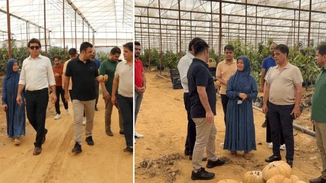 Kimsenin yürek edemediğini o yaptı: Yalnızca denemek için başladı, artık 300 dönümü aştı kimsenin yurek edemedigini o yapti yalnizca denemek icin basladi artik 300 donumu asti tNIsJS7L.webp