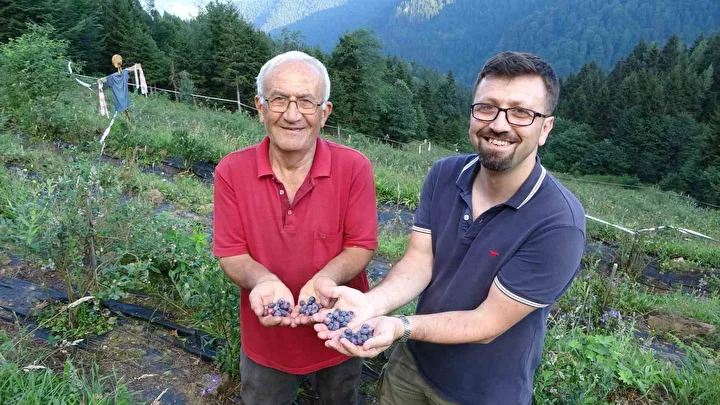 26 yıllık öğretmen Trabzon'da alternatif tarıma yöneldi: Ormanların ortasında bahçe kurdu 1 26 yillik ogretmen trabzonda alternatif tarima yoneldi ormanlarin ortasinda bahce kurdu 0 3jRnmzpL
