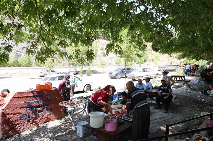 45 yillik cinari yazi tahtasina cevirdiler vatandas cuvalla muhafaza altina aldi 4 fEOPVO7E