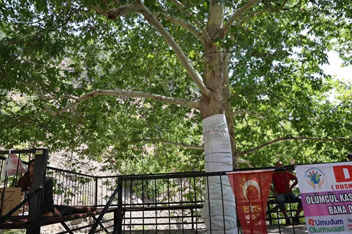 45 yillik cinari yazi tahtasina cevirdiler vatandas cuvalla muhafaza altina aldi 5 wYF9b4Up