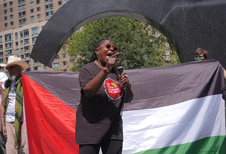 abdde vergi mukellefleri new yorkta gazze icin miting duzenledi 7 bCLmGdpI