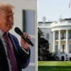 abddeki ankete nazaran halkin yuzde 56si trumpin baskanlik performansindan mutlu degil 7Irhcqvw.webp