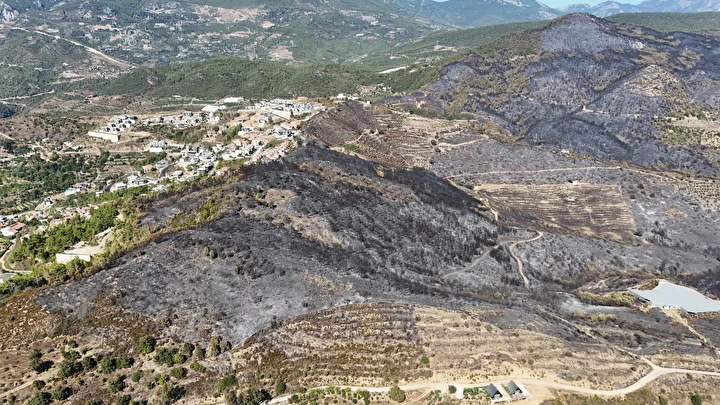 Acı bilanço ortaya çıktı: Antalya'daki orman yangınlarının akabinde geriye gri görünüm kaldı, bin 350 hektar alan ziyan gördü 1 aci bilanco ortaya cikti antalyadaki orman yanginlarinin akabinde geriye gri gorunum kaldi bin 350 6NkXG19Q