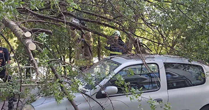 agac yola devrildi 2 arabada hasar olustu 1 zkyOYdjQ