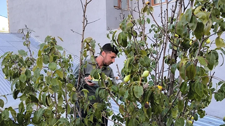 agaclar kesilmesin diye catiyi delerek korudular kafenin ortasinda kaldi 11 MdqtgFkV
