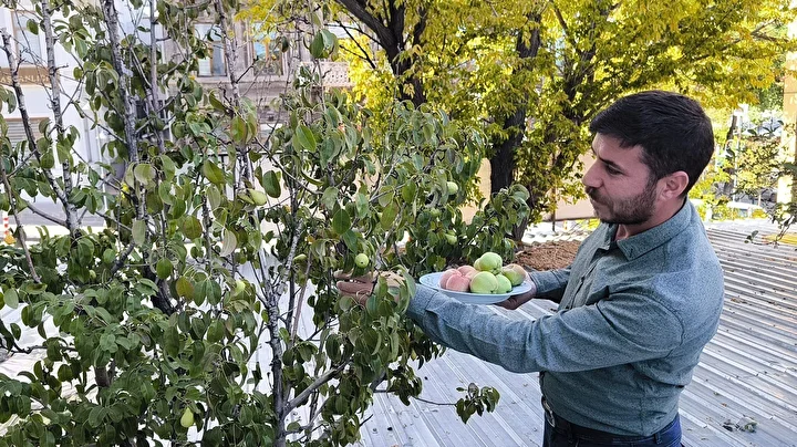 agaclar kesilmesin diye catiyi delerek korudular kafenin ortasinda kaldi 8 fflZWvl8