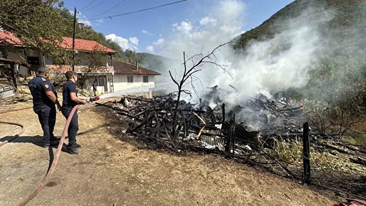 ahsap meskenden ormanlik alana sicrayan yangin denetim altina alindi 4 LGQQpacy