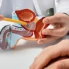ailede prostat kanseri olanlara gogus kanserine karsi dikkatli olun uyarisi NAhH2Xli.webp