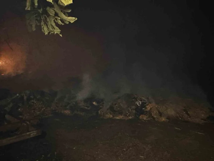 alevlerin ortasinda kalan mahallede sogutma calismalari gece boyunca devam etti 0 PQhVF6LG