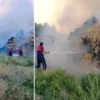 İsrail hücumlarından kaçarak Deyr Belah’a sığınan Filistinli aileler, güç kurallar altında ömürlerini sürdürüyor amasyada cikan yanginda bin balya saman ve bir arac kullanilamaz hale geldi UUXGjWOi.webp