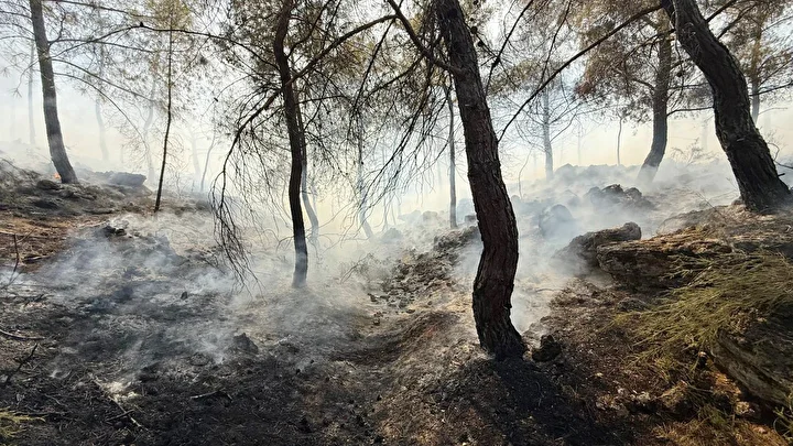 antalyada orman yangini suratli mudahale ile buyumeden denetim altina alindi 5 ez1lwSem
