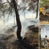 İngiliz savaş uçakları Polonya üzerinde devriye uçuşu gerçekleştirdi antalyada orman yangini suratli mudahale ile buyumeden denetim altina alindi jTdwTeZL.webp