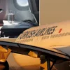 Gazze için 5,5 aydır yürüyen Norveçli öğretmeni Almanya’da yaşayan Türkler konuk etti artik fiyatsiz olacak ucuslarda yeni periyot bakan uraloglu zorunlu deyip talimat verdi tum ucuslari awfdWIWu.webp