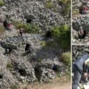 artvinde yeraltindaki buzhanelerde yiyecek ve icecekleri saklama gelenegi surduruluyor k8cpJAAV.webp