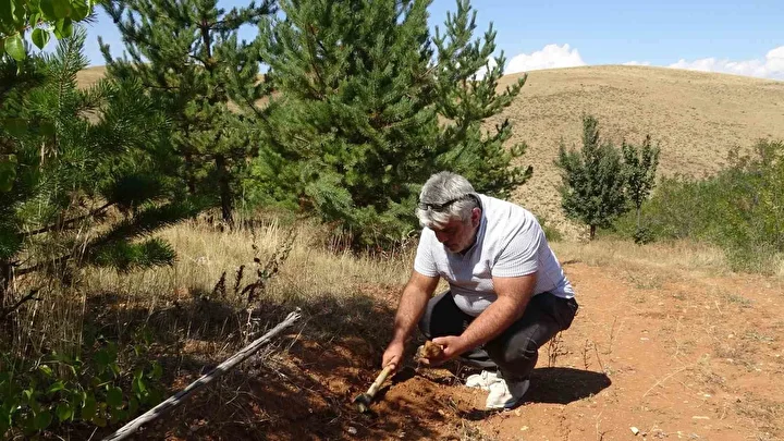 Bayburt’ta kehribarın kuvvetli mesaisi: Topraktan çıkarılan fosilleşmiş ağaç reçinesi takı ve tespihe dönüştürülüyor 3 bayburtta kehribarin kuvvetli mesaisi topraktan cikarilan fosillesmis agac recinesi taki ve tespihe donusturuluyor 2 6KGfGrLd