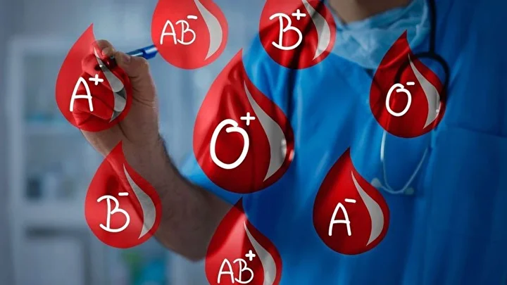 bilim adamlari acikladi bu kan kumesi aciya en saglam cikti 2 55zbVKKC