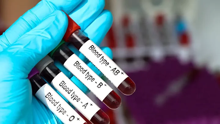 bilim adamlari acikladi bu kan kumesi aciya en saglam cikti 7 6FXB2H8B