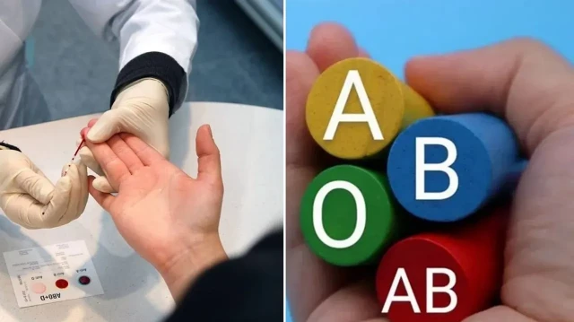 bilim adamlari acikladi bu kan kumesi aciya en saglam cikti SpzzKjwf.webp