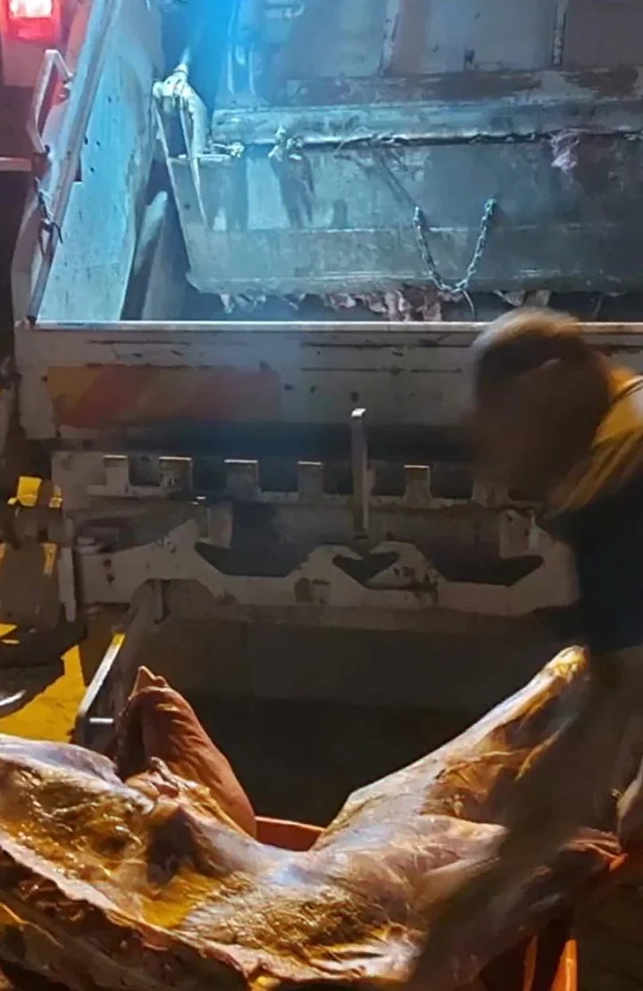 bir ilimiz bu imgeleri konusuyor ahirdaki soguk hava deposunda bulundu vatandasa yedireceklerdi 3 e7Z35HEg