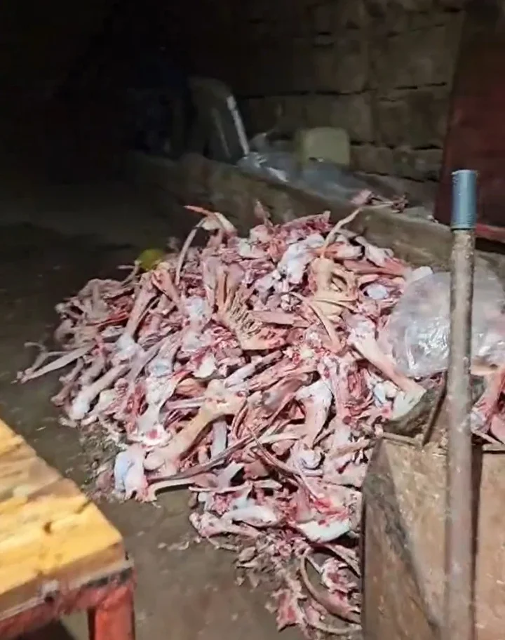 bir ilimiz bu imgeleri konusuyor ahirdaki soguk hava deposunda bulundu vatandasa yedireceklerdi 4 1Xb1nih6