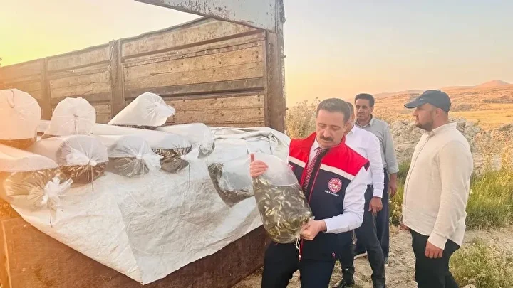 bitliste aygir ve nazik gollerine 3 milyon 895 bin sazan baligi yavrusu birakildi 0 pVDZI9Mn