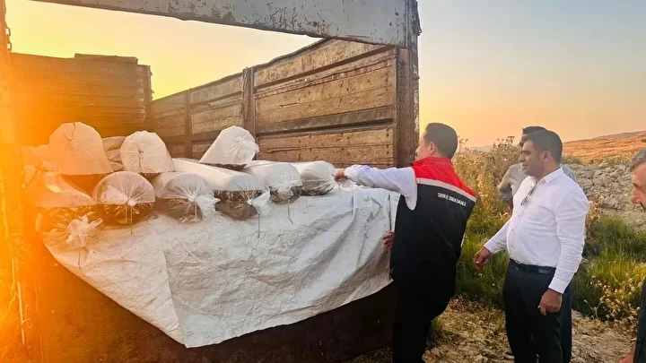 bitliste aygir ve nazik gollerine 3 milyon 895 bin sazan baligi yavrusu birakildi 4