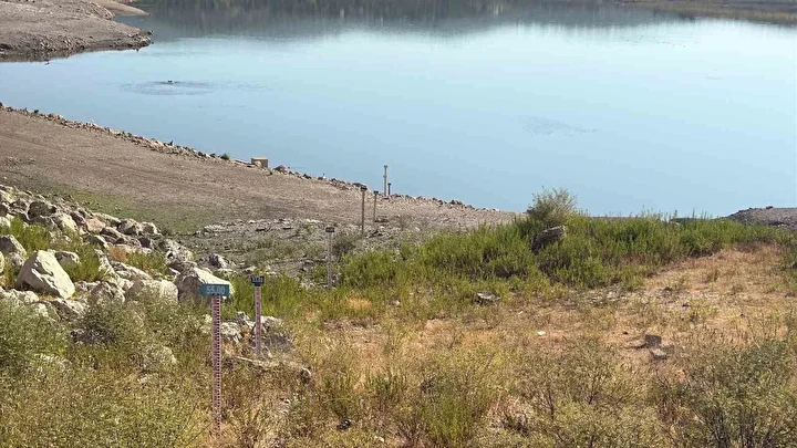 Bodrum’da musluklar kurudu: Baraj suyu tarlalara aktı 4 bodrumda musluklar kurudu baraj suyu tarlalara akti 3 jnizVjPQ