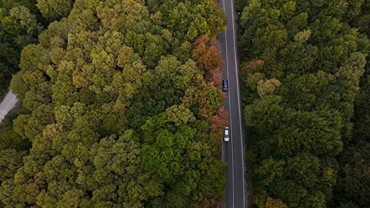 bolu seben yolunda super sonbahar hoslugu 0 EstzgaLH