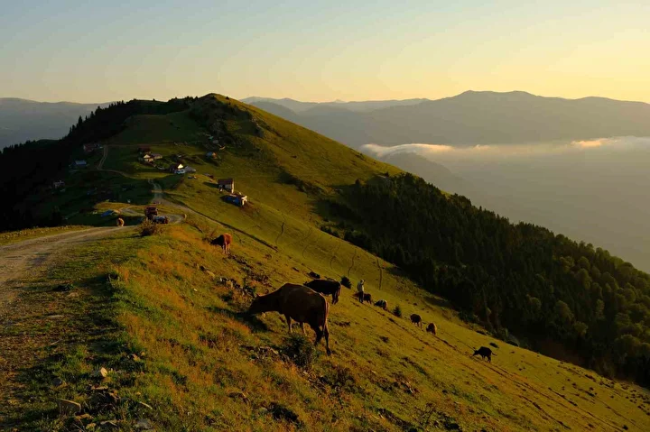burasi ne ayder ne de kumbet dumanlarin ortasindaki yerin neresi oldugunu ogrenince cok sasiracaksiniz