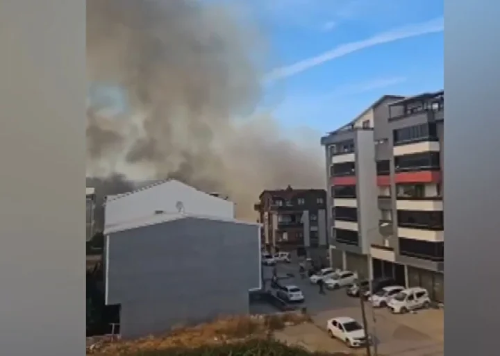 Bursa’da çamlık yangını: Yerleşim yerlerine sıçramadan söndürüldü 3 bursada camlik yangini yerlesim yerlerine sicramadan sonduruldu 2 egwJNAMP