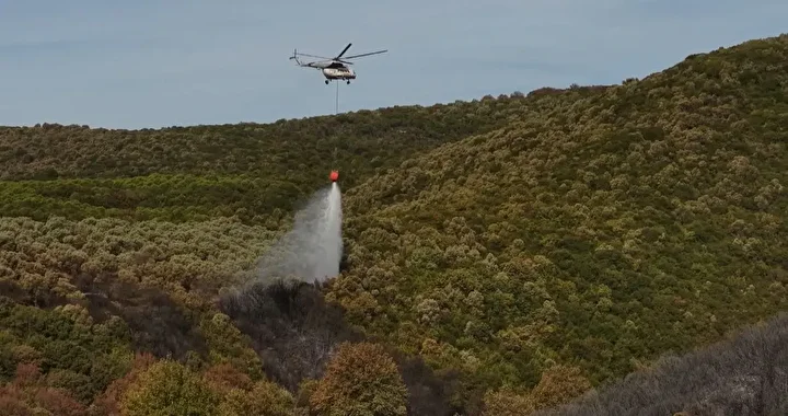 bursada orman yangini 14 saatte sonduruldu 0