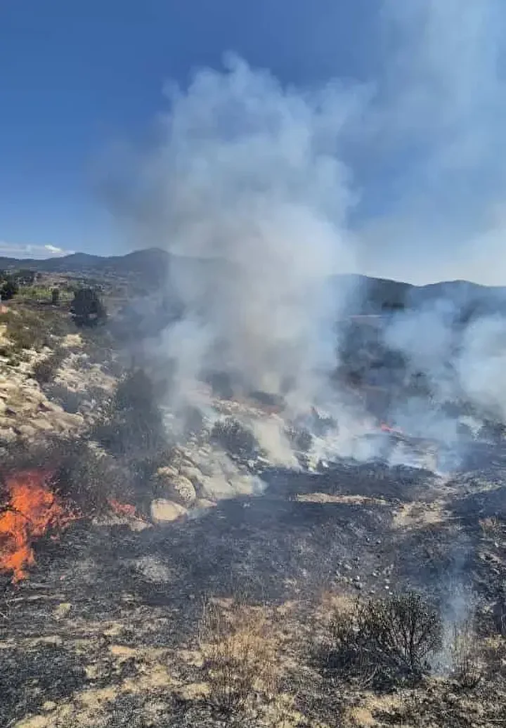 bursada ormanlik alanda cikan yangina mudahale ediliyor 2 NOmdr1Fd
