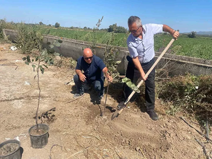 Bursalı öğretmen orman yangınlarında kaybedilen her ağaç yerine 10 fidan dikiyor 2 bursali ogretmen orman yanginlarinda kaybedilen her agac yerine 10 fidan dikiyor 1 E46THVi4