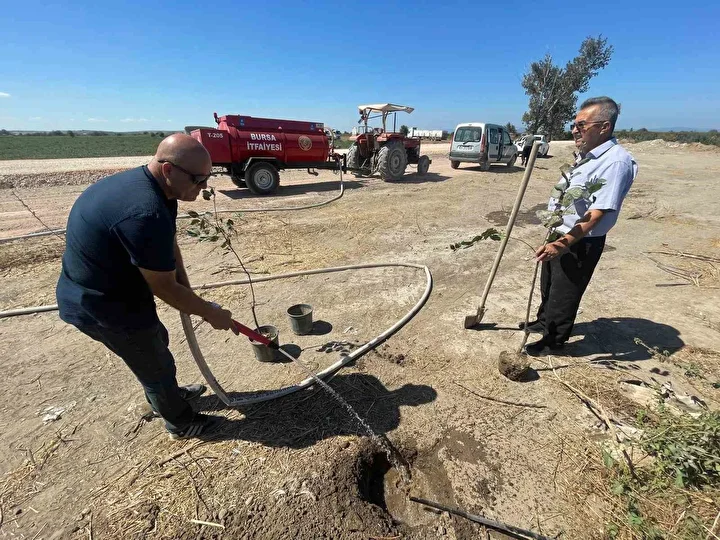 Bursalı öğretmen orman yangınlarında kaybedilen her ağaç yerine 10 fidan dikiyor 3 bursali ogretmen orman yanginlarinda kaybedilen her agac yerine 10 fidan dikiyor 2
