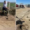 Tam 6 ton imha edildi: Hepsini vatandaşa yedireceklerdi gruplar harekete geçti bursali ogretmen orman yanginlarinda kaybedilen her agac yerine 10 fidan dikiyor G4GOubvH.webp