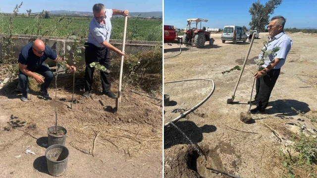 Bursalı öğretmen orman yangınlarında kaybedilen her ağaç yerine 10 fidan dikiyor bursali ogretmen orman yanginlarinda kaybedilen her agac yerine 10 fidan dikiyor G4GOubvH.webp