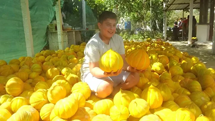 cet tohumundan gelen miras yayla kavunu dunyanin cikilan degil inilen tek yaylasinda yuz yillardir OVDk8nkO