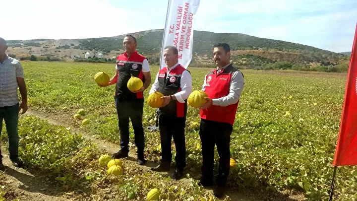 cet tohumundan gelen miras yayla kavunu dunyanin cikilan degil inilen tek yaylasinda yuz yillardir TYItsB8r